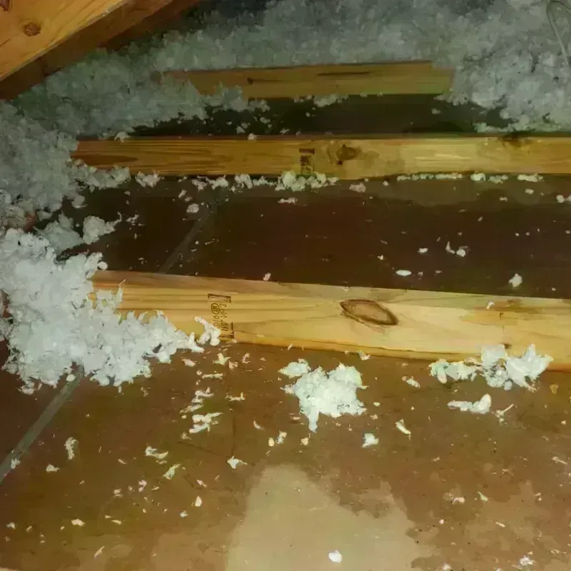 Attic Water Damage in King and Queen Court House, VA